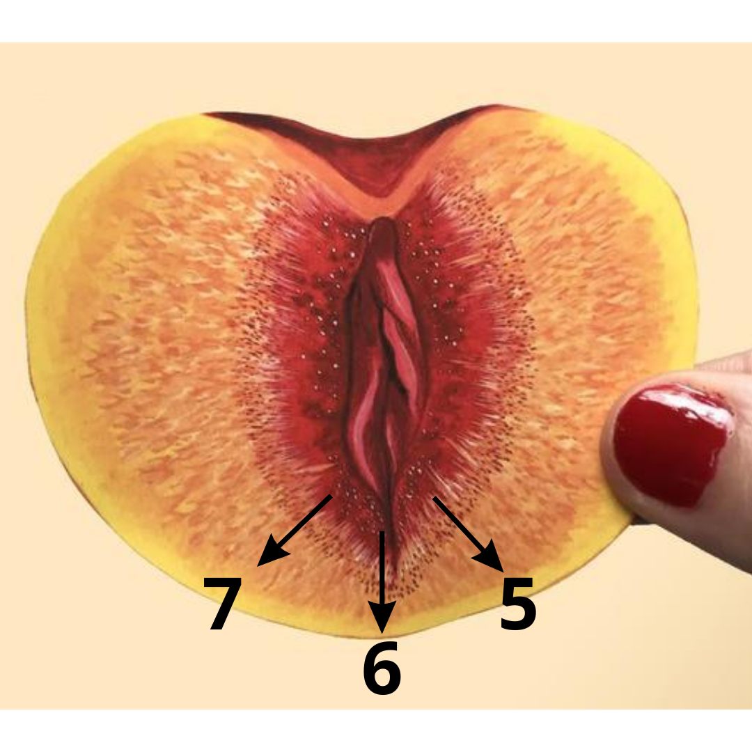 Schema of the perineal massage in a fruit seemig to be the female pelvic floor. 